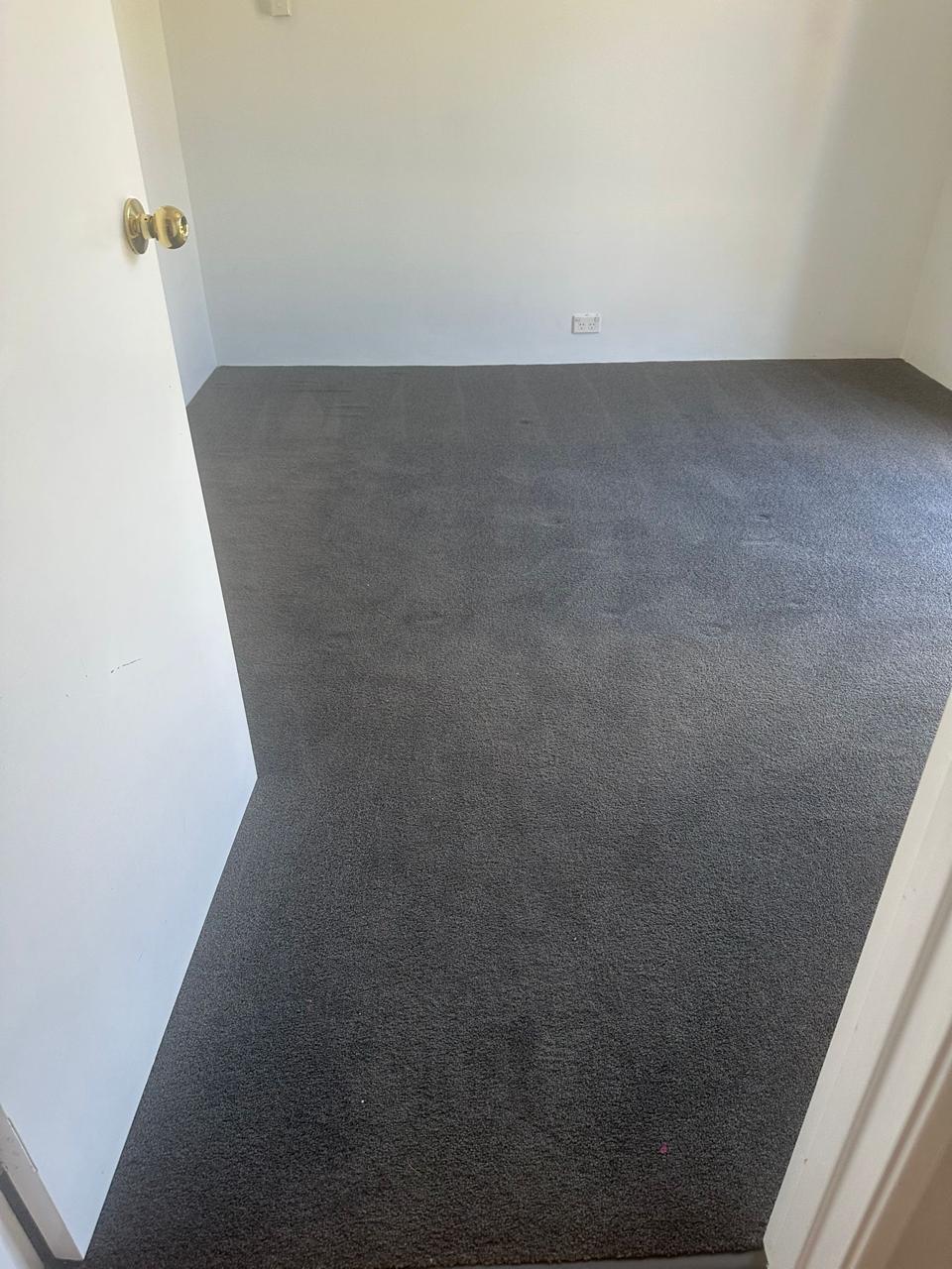 Carpet Cleaning